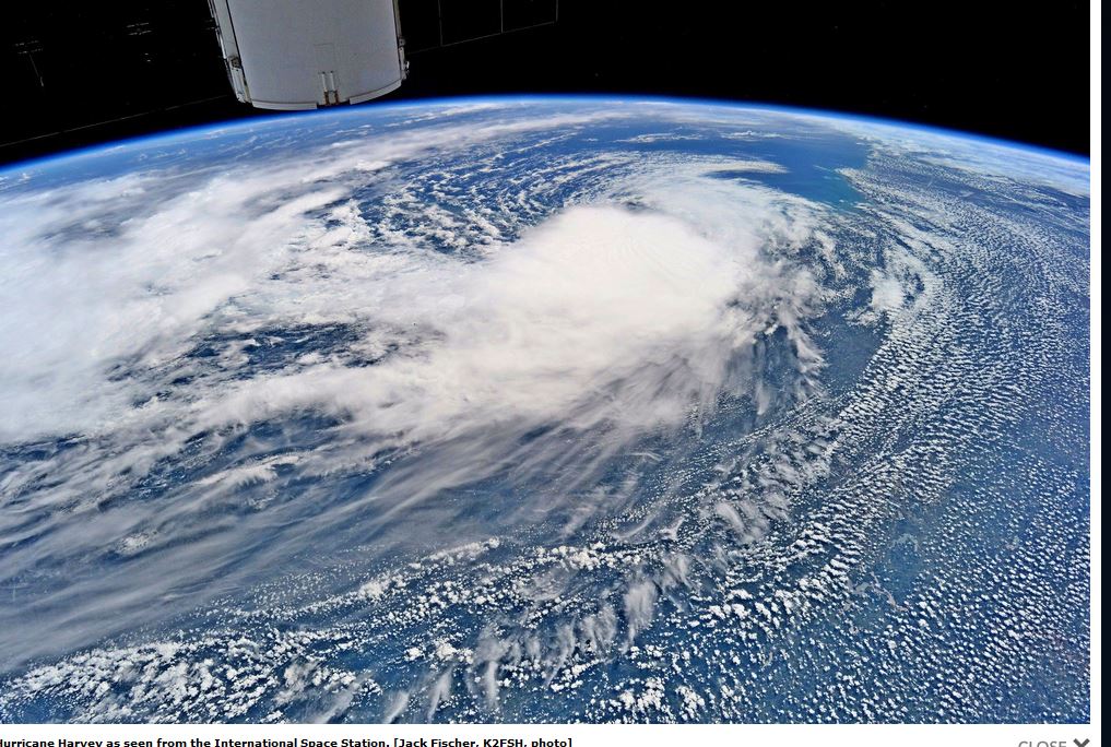 Harvey von ISS Dateien